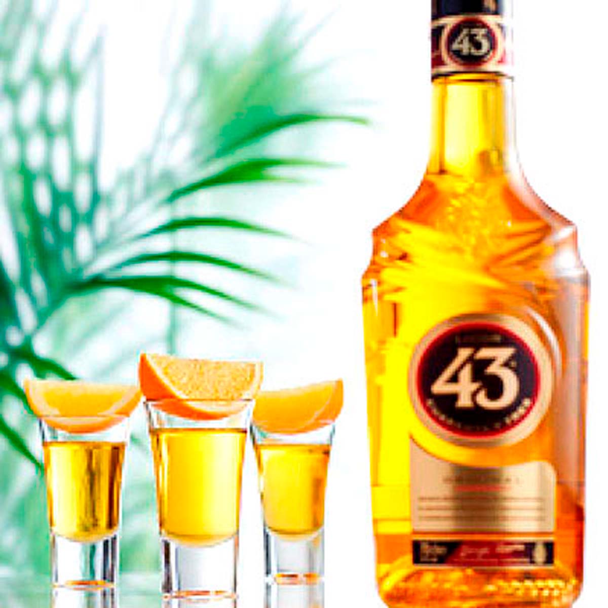 Dose Licor 43