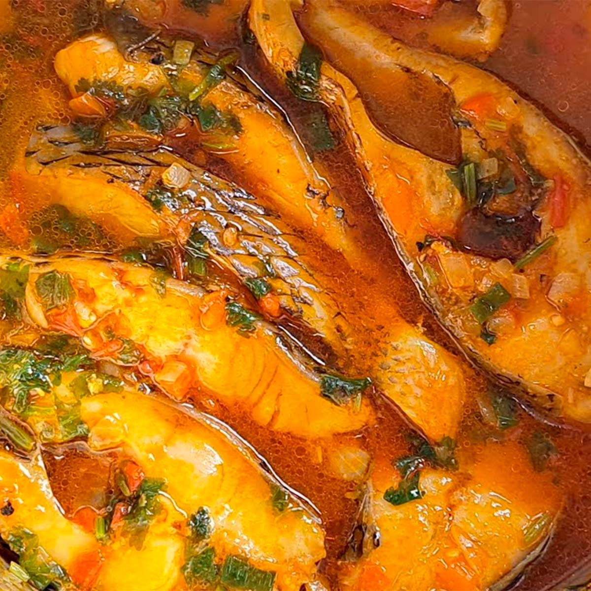 Peixe cozido